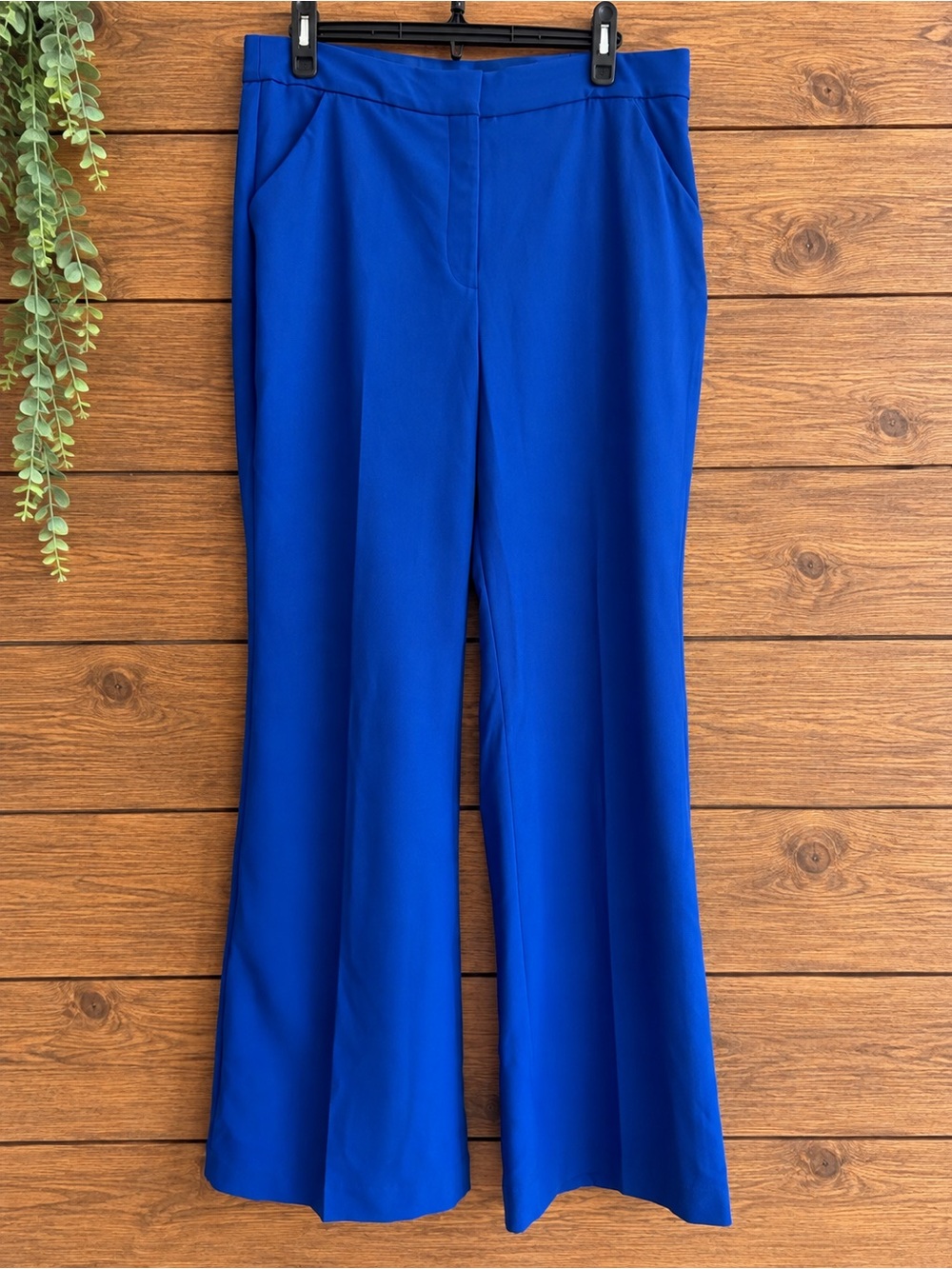 Express Editor Flare Trouser High Rise Cobalt Blue Pants 12L Long